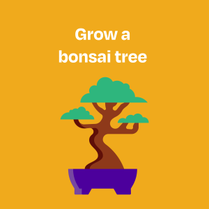 Grow a bonsai tree: Illustration of a bonsai tree